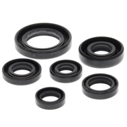 Winderosa (Vertex), sada gufer motoru, Honda TRX300 EX 93-08, TRX300 X 09