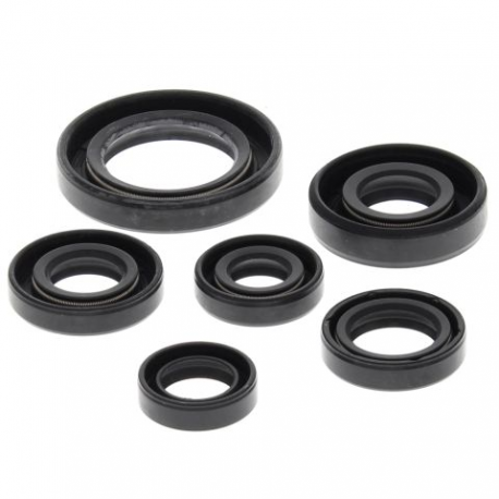 Winderosa (Vertex), sada gufer motoru, Honda TRX300 EX 93-08, TRX300 X 09