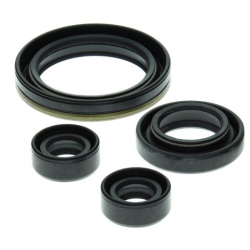 Winderosa (Vertex), sada gufer motoru, Suzuki LT-160 03-04, LT-160E 89-92, LT-F160 91-01