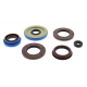 Winderosa (Vertex), sada gufer motoru, Polaris RANGER 900 CREW '13-15, RZR 4 XP 900 12-14, RZR XP