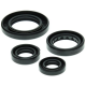 Winderosa (Vertex), sada gufer motoru, Honda TRX250 RECON 97-01