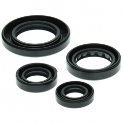 Winderosa (Vertex), sada gufer motoru, Honda TRX250 RECON 97-01