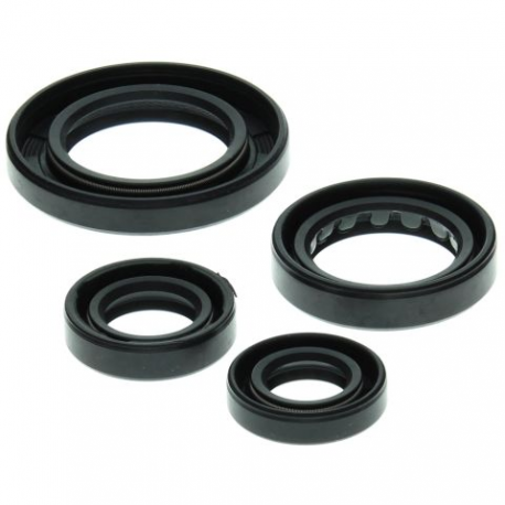 Winderosa (Vertex), sada gufer motoru, Honda TRX250 RECON 97-01