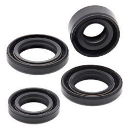 Winderosa (Vertex), sada gufer motoru, Honda CRF50F 04-21, CRF70F 04-12, CT70 TRAIL 91-94, XR50R
