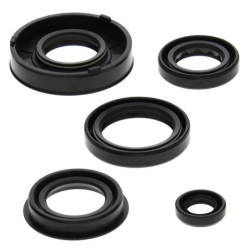 Winderosa (Vertex), sada gufer motoru, ARCTIC CAT 50 Y-6 04-05, 90 2-STROKE 02-04, 90 UTILITY 2X4