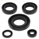 Winderosa (Vertex), sada gufer motoru, Kawasaki KFX50 03-06, Suzuki LT-A50 02-05