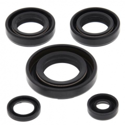 Winderosa (Vertex), sada gufer motoru, Kawasaki KFX50 03-06, Suzuki LT-A50 02-05