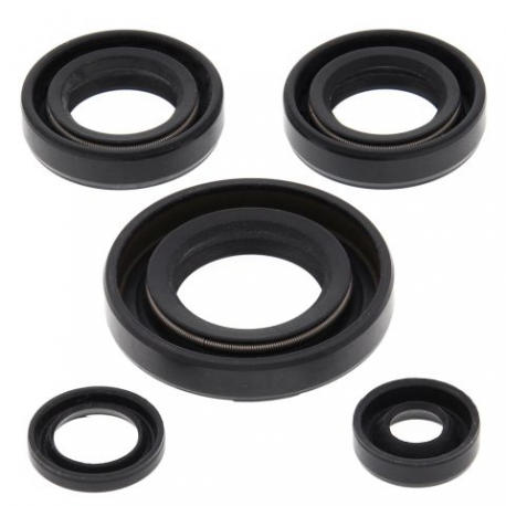 Winderosa (Vertex), sada gufer motoru, Kawasaki KFX50 03-06, Suzuki LT-A50 02-05