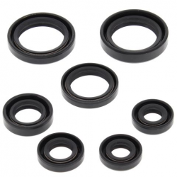 Winderosa (Vertex), sada gufer motoru, Honda TRX350FE 00-06, TRX350FM FOURTRAX RANCHER 00-06, TRX