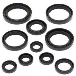 Winderosa (Vertex), sada gufer motoru, Honda TRX450R 04-05