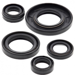 Winderosa (Vertex), sada gufer motoru, Yamaha TTR125 DRUM BRAKE 00-21,