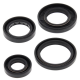 Winderosa (Vertex), sada gufer motoru, Yamaha YFA1 89-04, YFM125 GRIZZLY 04-13