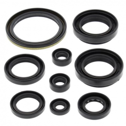 Winderosa (Vertex), sada gufer motoru, ARCTIC CAT 500 4X4 W/AT 00-02, 500 FIS 4X4 W/AT 02-09, SUZ
