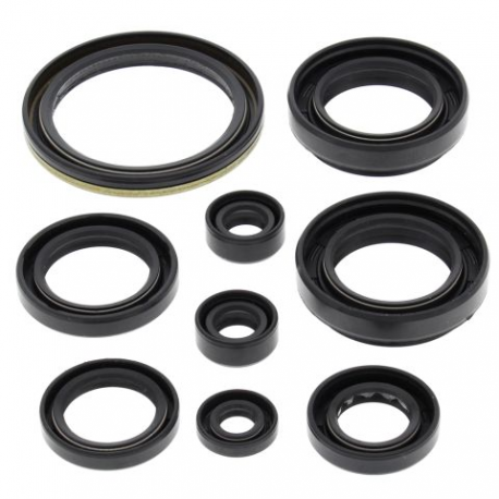 Winderosa (Vertex), sada gufer motoru, ARCTIC CAT 500 4X4 W/AT 00-02, 500 FIS 4X4 W/AT 02-09, SUZ