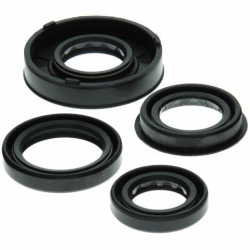 Winderosa (Vertex), sada gufer motoru, Polaris PREDATOR 50 04-06, PREDATOR 90 03-04, SCRAMBLER 50