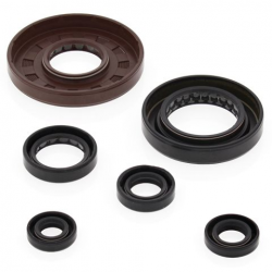 Winderosa (Vertex), sada gufer motoru, Honda TRX500FE 05-11, TRX500FPE 07-11