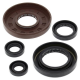 Winderosa (Vertex), sada gufer motoru, Honda TRX500FM 05-11, TRX500FPM 08-11, TRX500TM 05-06