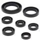 Winderosa (Vertex), sada gufer motoru, Honda TRX250TE RECON 02-21, TRX250TM RECON 02-21, TRX250X