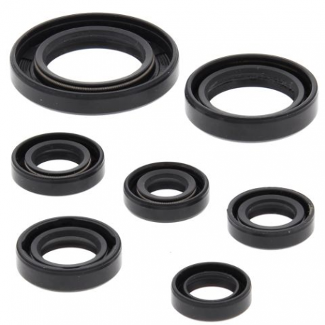 Winderosa (Vertex), sada gufer motoru, Honda TRX250TE RECON 02-21, TRX250TM RECON 02-21, TRX250X
