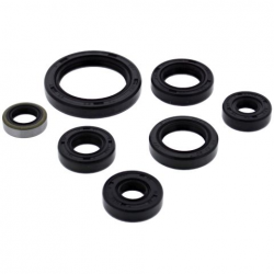 Winderosa (Vertex), sada gufer motoru, Kawasaki KFX250 MOJAVE 87-04