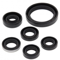 Winderosa (Vertex), sada gufer motoru, Kawasaki KFX450R 08-14