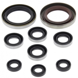 Winderosa (Vertex), sada gufer motoru, KTM XC 450 ATV 08-09, XC 525 ATV 08-09, Polaris OUTLAW 525
