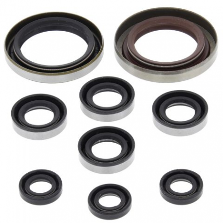 Winderosa (Vertex), sada gufer motoru, KTM XC 450 ATV 08-09, XC 525 ATV 08-09, Polaris OUTLAW 525