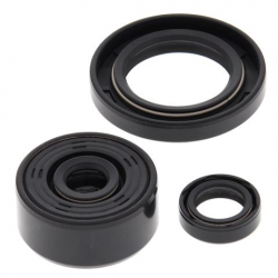 Winderosa (Vertex), sada gufer motoru, Yamaha XT250 08-21, YFM 250 RAPTOR 08-13