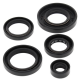 Winderosa (Vertex), sada gufer motoru, ARCTIC CAT 650 4X4 H1 07-11, 650 H1 LTD 05-07, 650 H1 MUDP