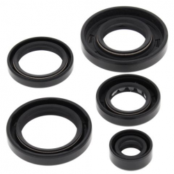 Winderosa (Vertex), sada gufer motoru, ARCTIC CAT 650 4X4 H1 07-11, 650 H1 LTD 05-07, 650 H1 MUDP