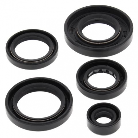 Winderosa (Vertex), sada gufer motoru, ARCTIC CAT 650 4X4 H1 07-11, 650 H1 LTD 05-07, 650 H1 MUDP
