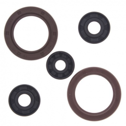 Winderosa (Vertex), sada gufer motoru, CAN-AM COmmANDER 1000 DPS 16-20, MAVERICK 1000 XXC 14-17,