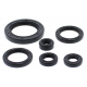 Winderosa (Vertex), sada gufer motoru, Honda TRX650 RINCON 03-05, TRX680 RINCON 06-21