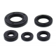 Winderosa (Vertex), sada gufer motoru, Honda TRX500FM 12-13, TRX500FM IRS 15-19, TRX500FM SOLID A