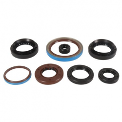 Winderosa (Vertex), sada gufer motoru, ARCTIC CAT 550 EFI 4X4 12-14, -14, ALTERRA 570 19-20, ALTE