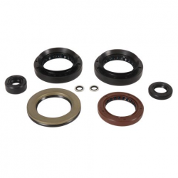 Winderosa (Vertex), sada gufer motoru, ARCTIC CAT 500 TRV 13-14, 500 XT EFI 13-14
