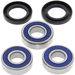 All Balls, sada ložisek a gufer zadního kola, Honda CBR 600F '95-'96, CBR 900RR '93-'95, VT 750C '98-'07