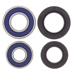 All Balls, sada ložisek a gufer předního kola, Yamaha YFM 660R/700R RAPTOR 01-18,YFZ450 04-13,YFZ450R '09-14,YFZ450X '10-11