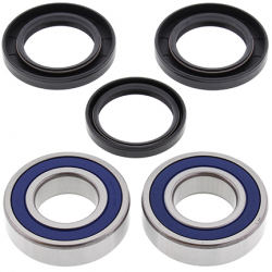 All Balls, sada ložisek a gufer zadního kola, Kawasaki KFX80 '03-'06, Suzuki LT80 '87-'06, LT-Z90 QUADSPORT '07-'09