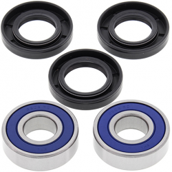 All Balls, sada ložisek a gufer předního kola, Suzuki GSX600F 03-06, BURGMAN650 03-17, DL650V-STORM 04-17,GSF650 05-07,SFV6