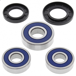 All Balls, sada ložisek a gufer zadního kola, Yamaha FJ 1200 '91-'93, FZR 1000 '91-'95, XJR 1200/1300 '95-'01