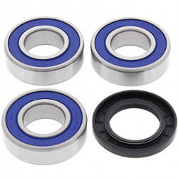 All Balls, sada ložisek a gufer zadního kola, Suzuki VZR 1800 '08-'09, M109R '06-'13