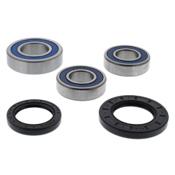 All Balls, sada ložisek a gufer zadního kola, Suzuki GSR600 06-07, GSXS750 16