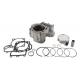 Cylinder Works, sada válec + píst Kawasaki KVF 750 Brute Force '05-'14 (přední) 8,8:1 standard 85mm