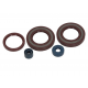 Centauro, sada gufer motoru, Husqvarna TE/WXE 350 '90-'95 , WXE 610 '90-'96 , TE 570
