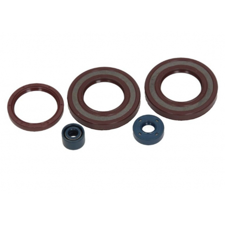 Centauro, sada gufer motoru, Husqvarna TE/WXE 350 '90-'95 , WXE 610 '90-'96 , TE 570