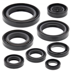 Winderosa (Vertex), sada gufer motoru, Honda CR125R 84-85