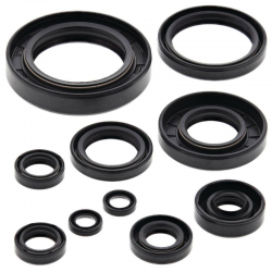 Winderosa (Vertex), sada gufer motoru, Yamaha YZ250 99-00