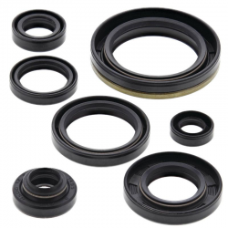 Winderosa (Vertex), sada gufer motoru, Suzuki RM250 89-93