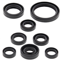 Winderosa (Vertex), sada gufer motoru, Yamaha YZF400/426 98-02, WR400/426F 98-02